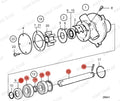 Repair Shaft Kit 21951414 for Johnson 10-24178-2 10-24707-01 (Cooling Pump)