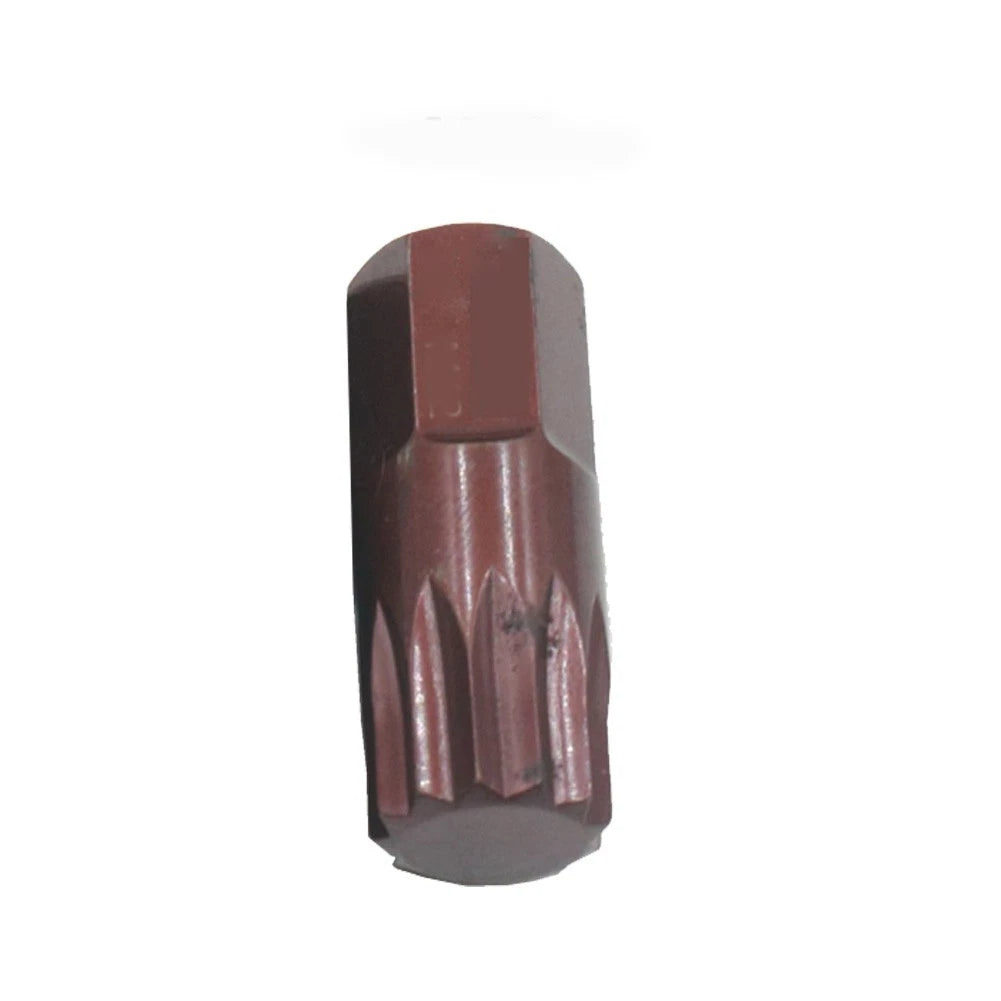 10mm Star Screwdriver Bit for Hex Shank (1PC)