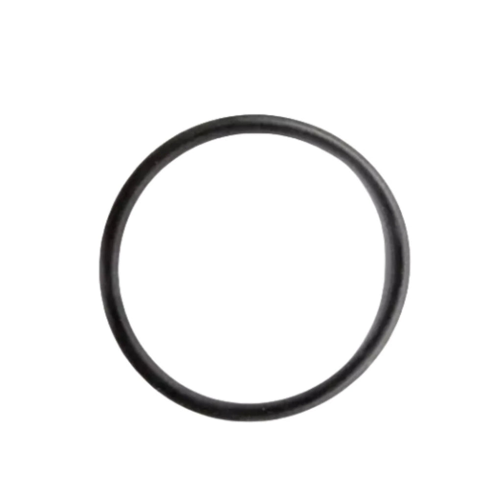 Set of 2 O-Rings for Evinrude Johnson (314491, 0314491)