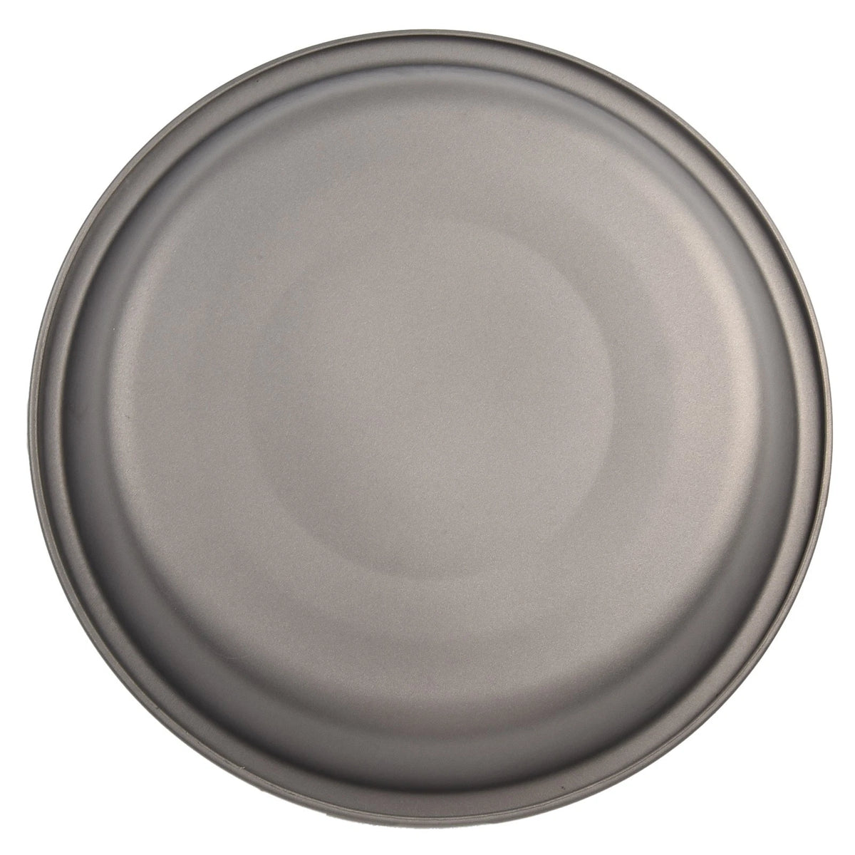 Dish Plate Bowl for Garden Indoor (140mm x 25mm)