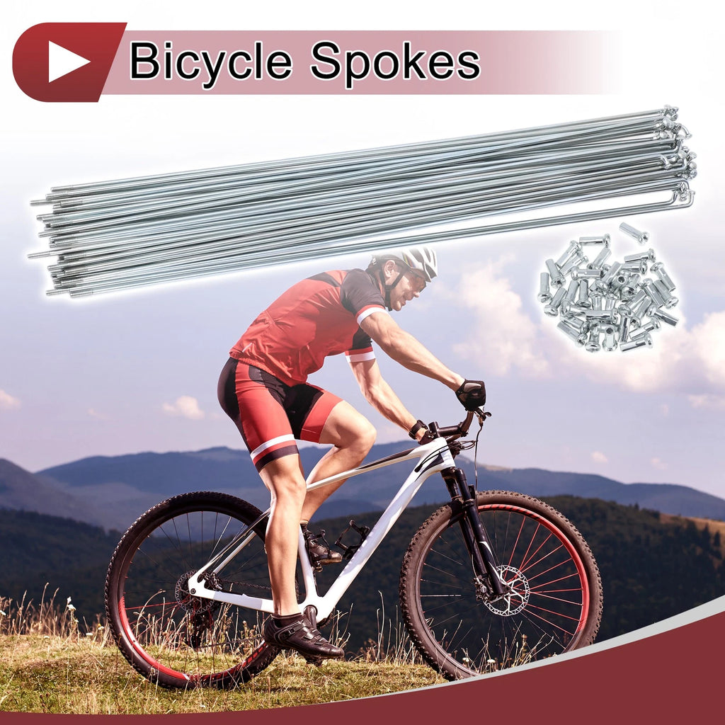 Set 36 Bike Wheel Spokes 293mm Galvanized for 13G Bicycle (Universal)