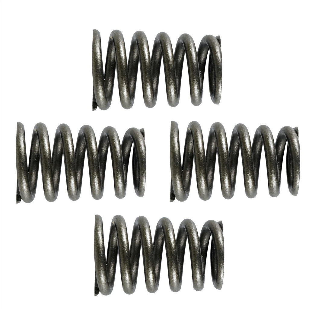Valve Springs Set for CanAm Defender Pro HD10 (2021–2021)