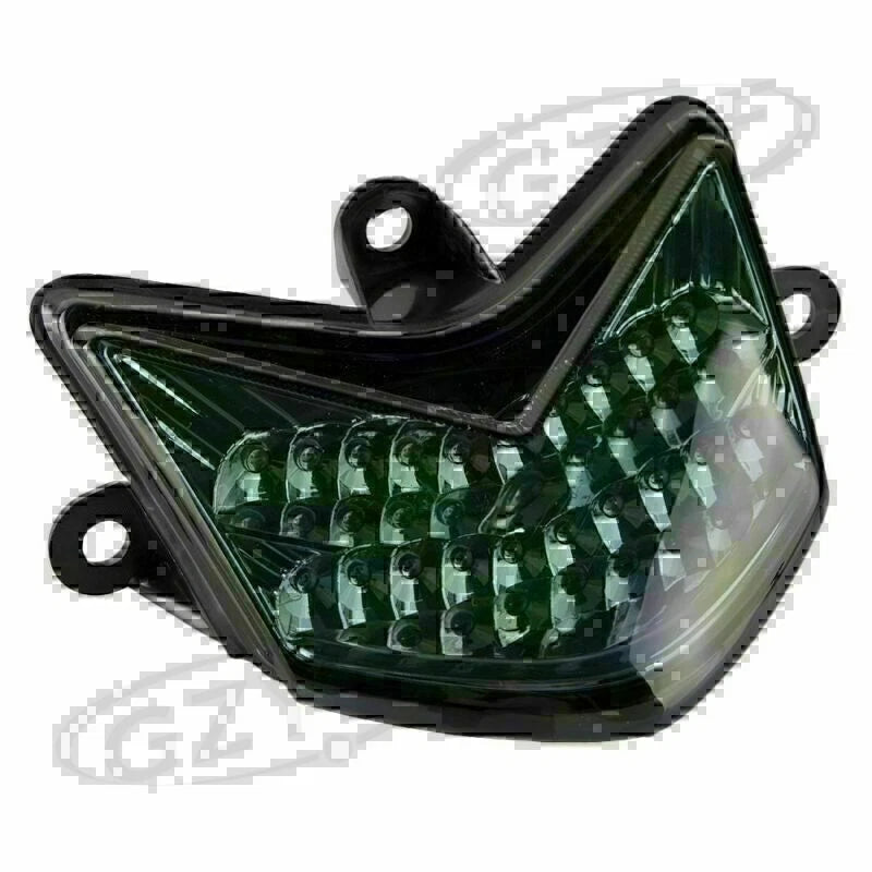 1pc Integrated LED Tail Light for Kawasaki ZX10R (2004–2005) Smoke