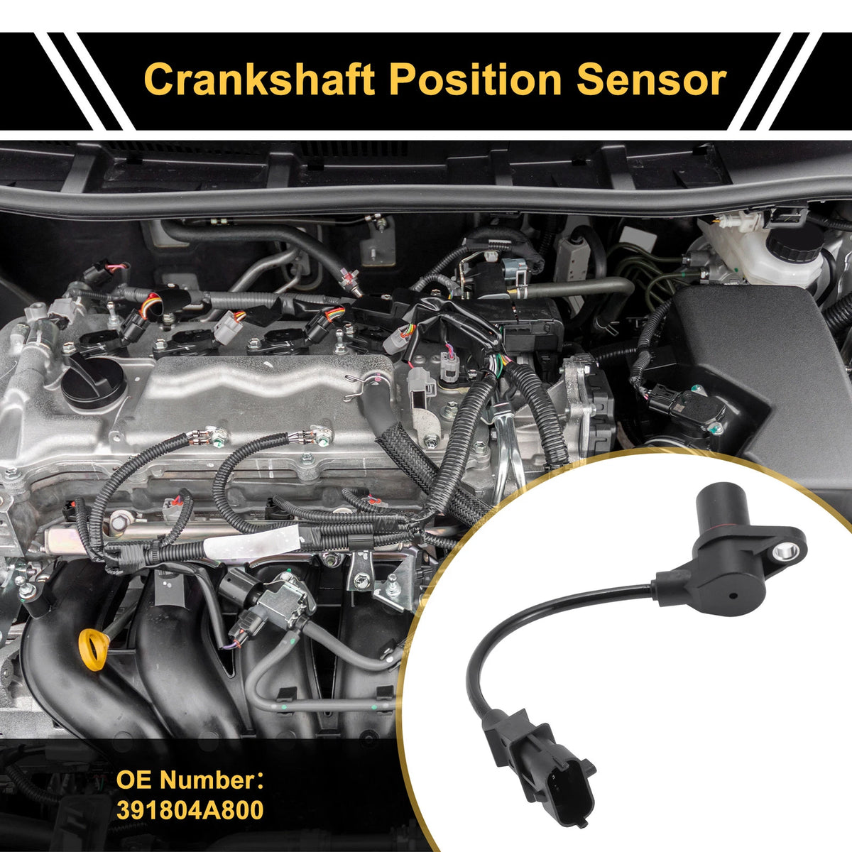 1 Pc Crankshaft Position Sensor No.391804A800 for KIA K2500 (2010)