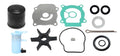 Maintenance Kit for Suzuki DF20 DF25 V2 Outboard (17400-95872, 17400-95870)