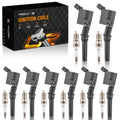 Pack of 8 Ignition Coils + Spark Plugs for Ford E-250 E-350 (2000–2014)