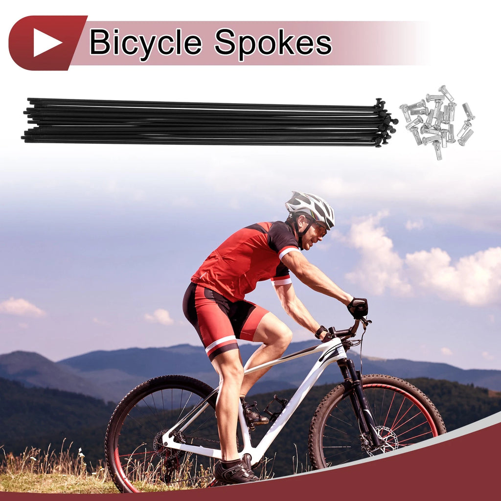Bicycle Spokes 272 mm Replacement Set for 12G Wheel (2005–2015)