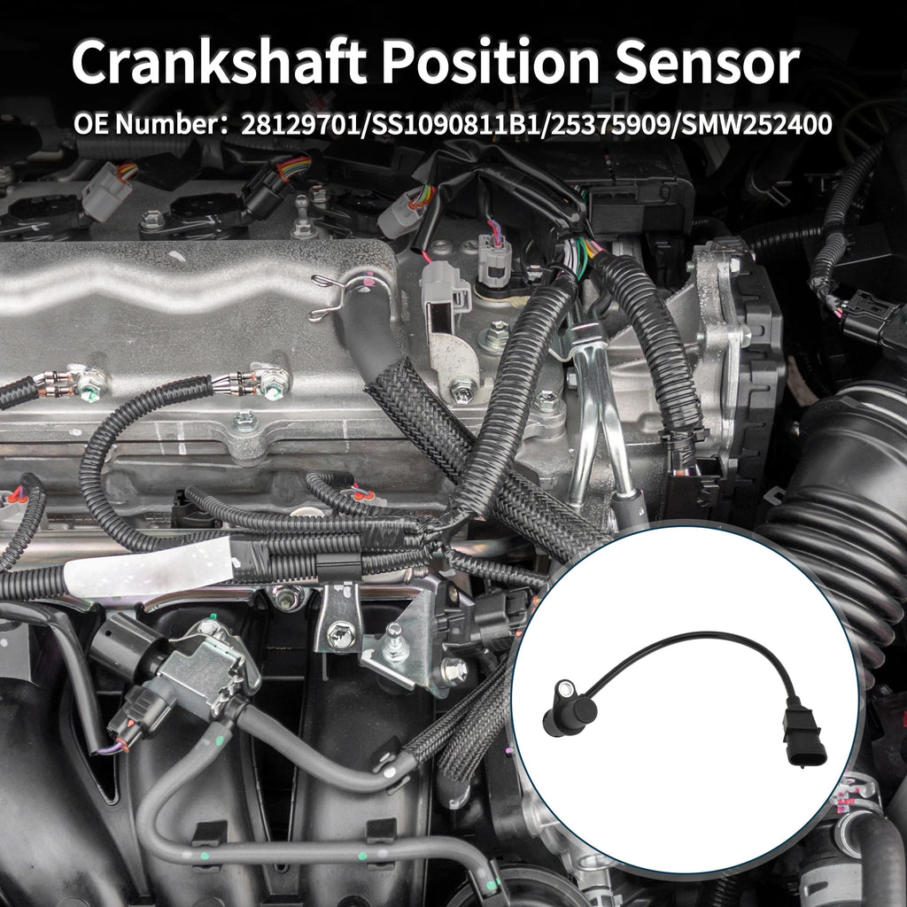 Crankshaft Position Sensor for Great Wall Haval (No. 28129701) 1 Pc Black