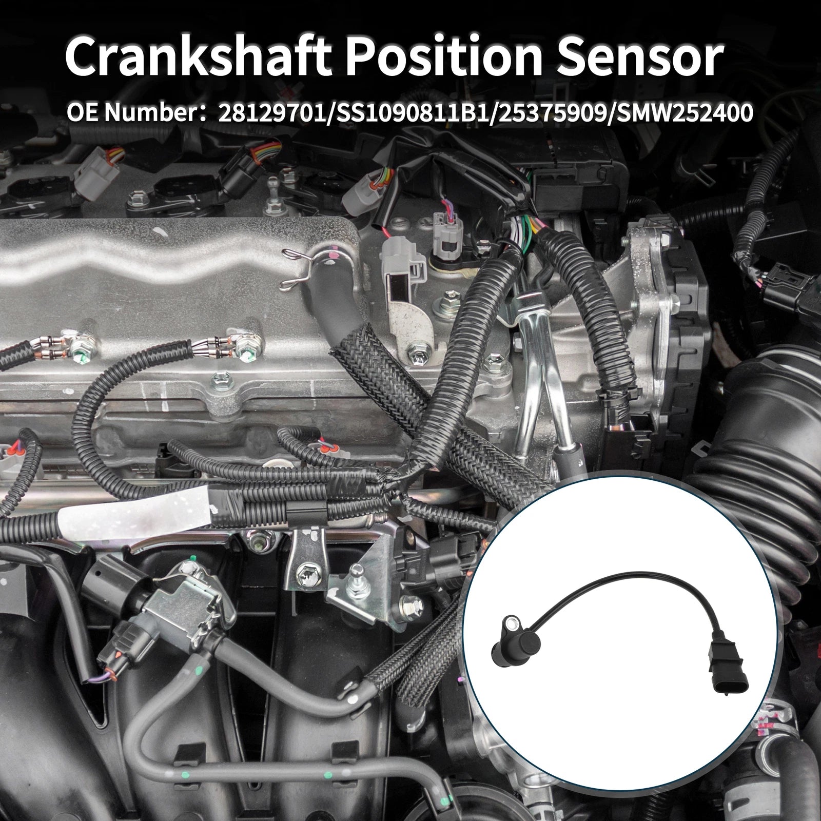 Crankshaft Position Sensor for Great Wall Haval (No. 28129701) 1 Pc Black
