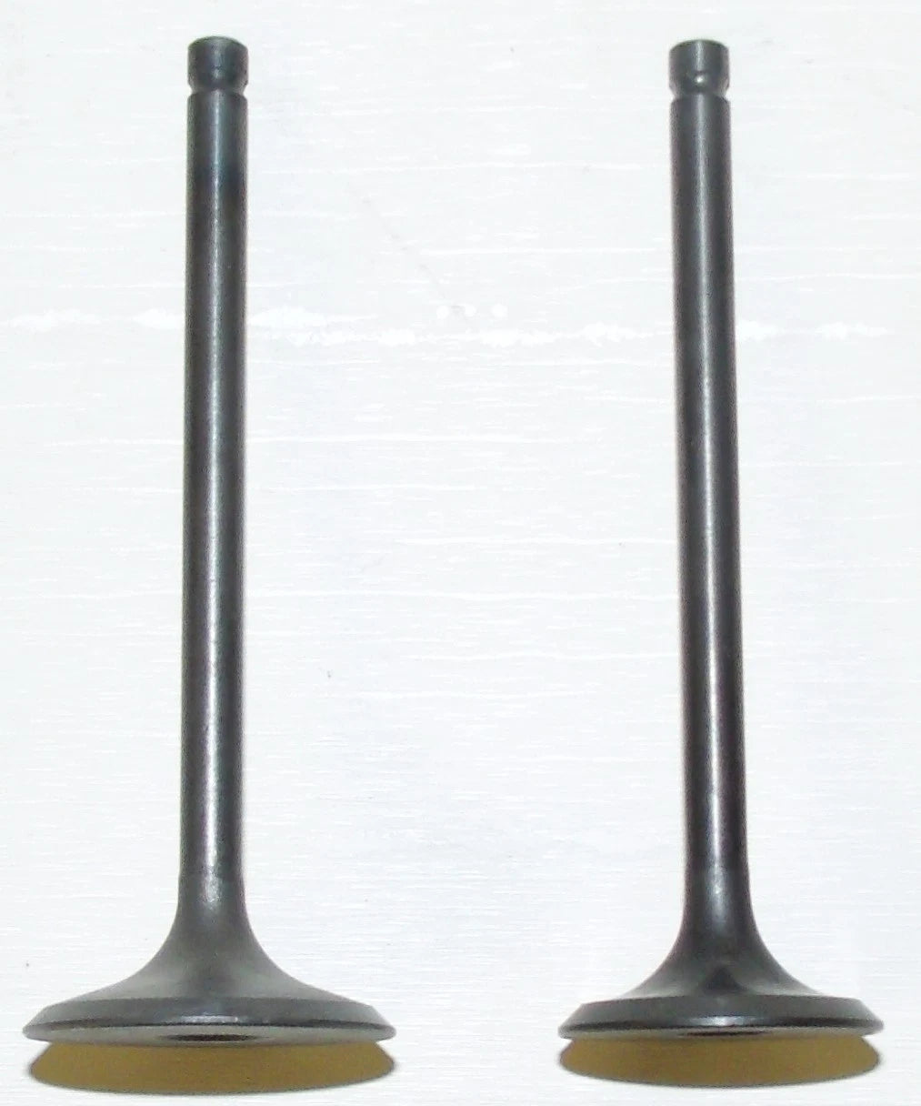 Engine Valve Kit for WSM 230 LT-F (1985–1993) 017-204