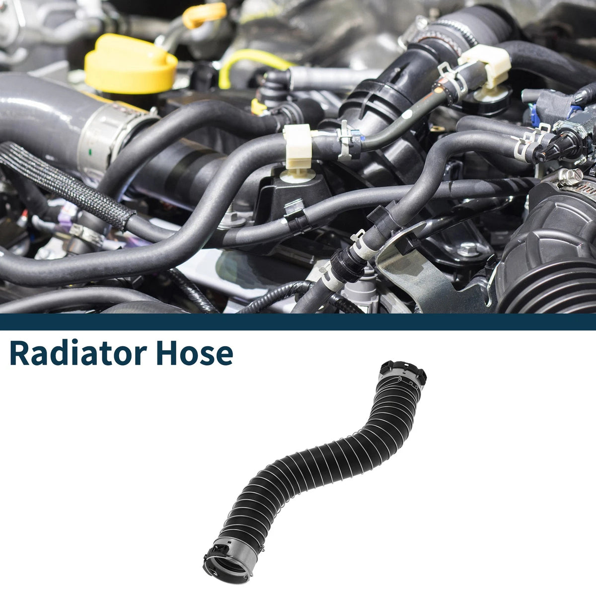 Radiator Hose for BMW 5 Series G30 (2017–2020) OEM Replacement