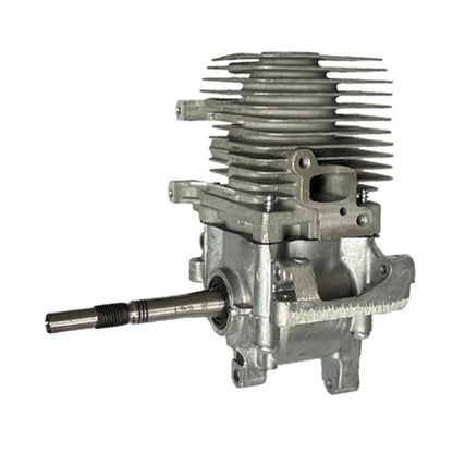 Engine Assembly for FS55 (Outdoor Use)