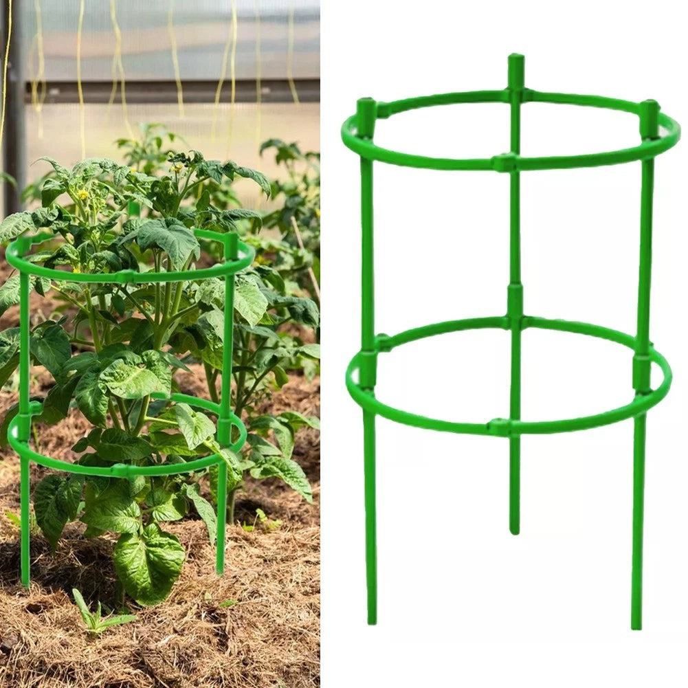 Sturdy Tomato Plant Support for Small Tomatoes (Optimal Growth)