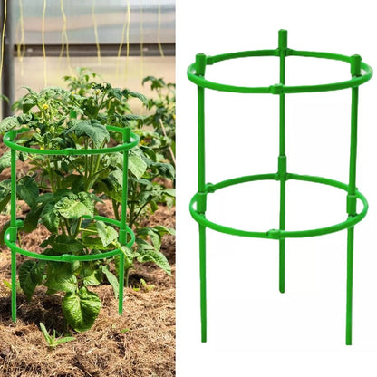 Sturdy Tomato Plant Support for Small Tomatoes (Optimal Growth)