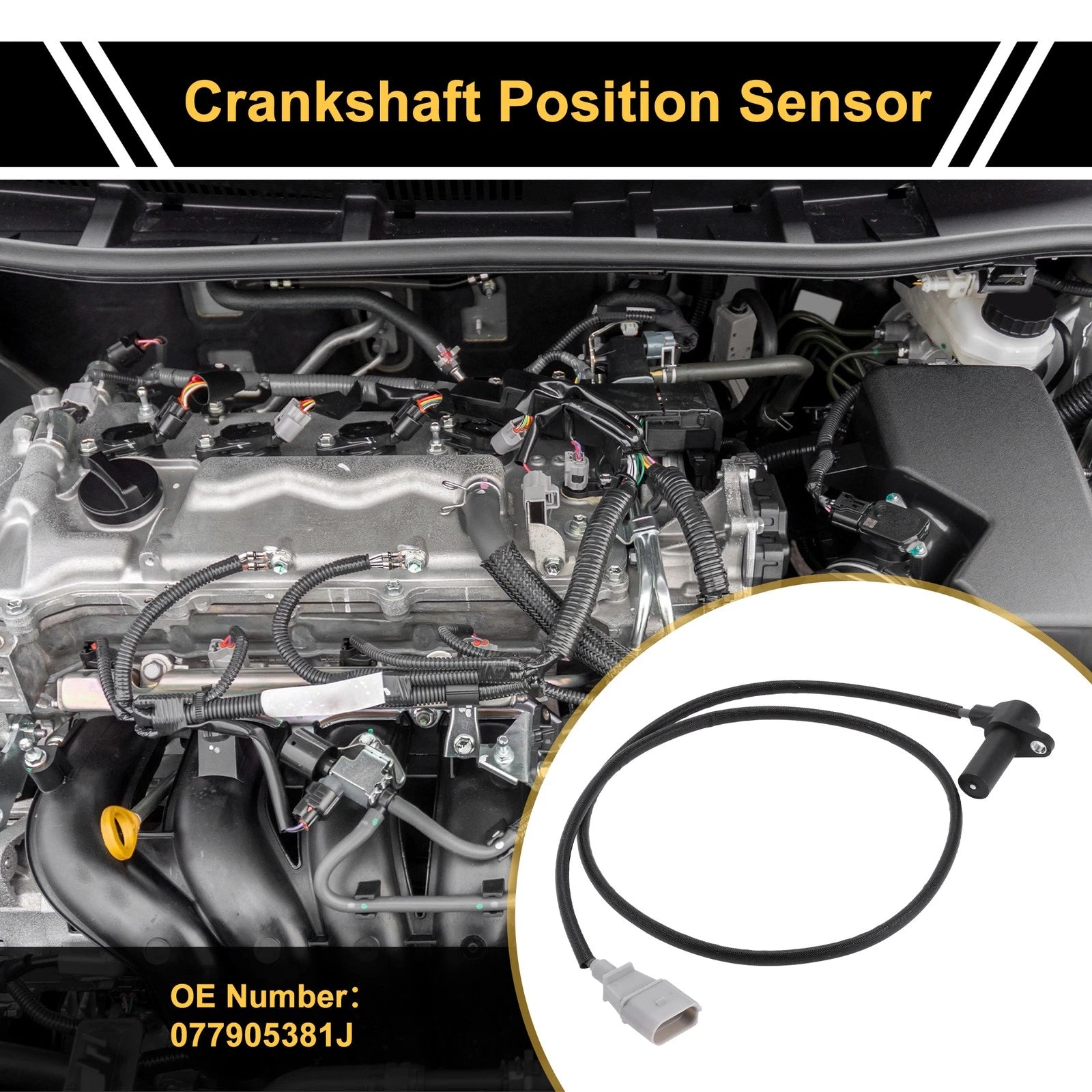Crankshaft Position Sensor Replacement for Audi A8 D3 3.7 quattro (2002–2006)