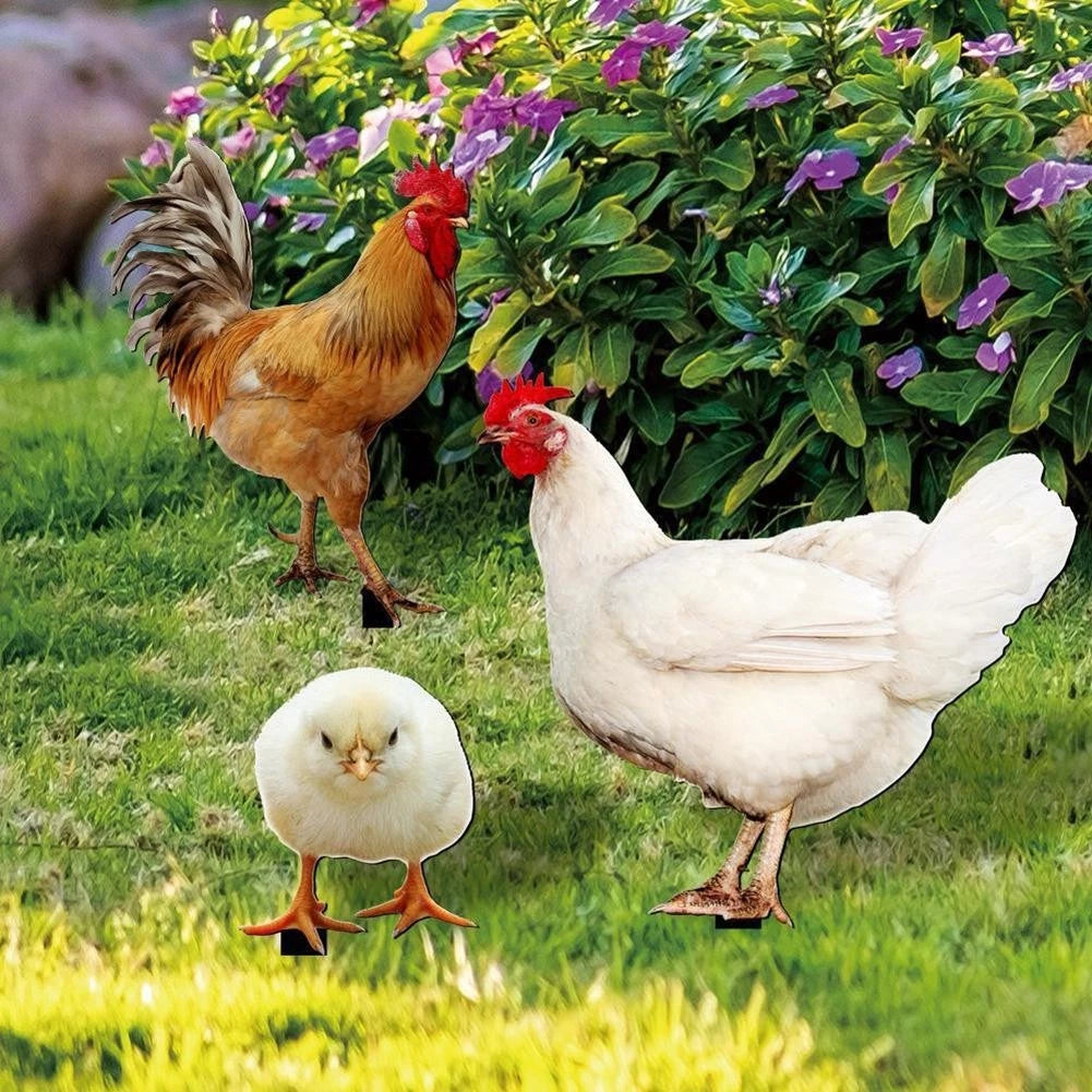 Acrylic Chicken Stake for Garden Decoration Installation