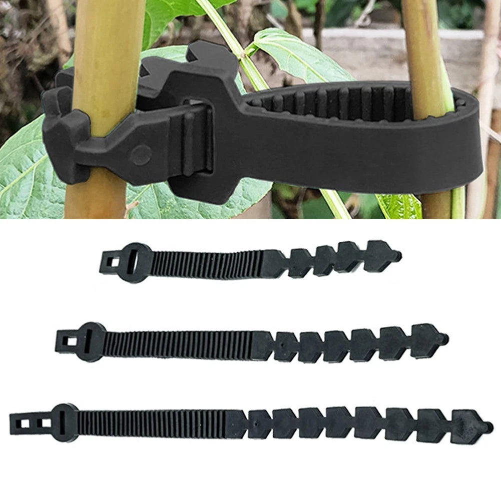 Interlock Garden Tree Ties for Indoor Plants (No specific years/models)