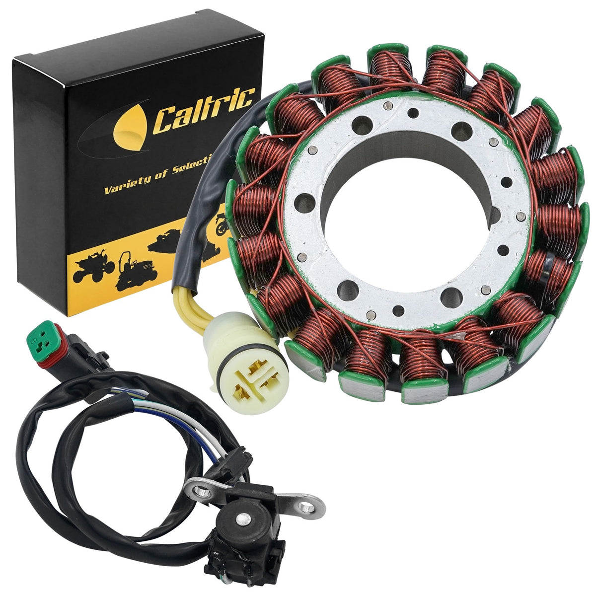 Stator and Pickup Coil Replacement for Bombardier Can-Am DS 650 (2000–2005)