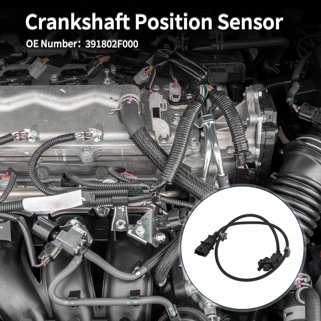 Crankshaft Position Sensor Replacement for Hyundai Santa Fe CM 2.0 CRDi (2009–2012)