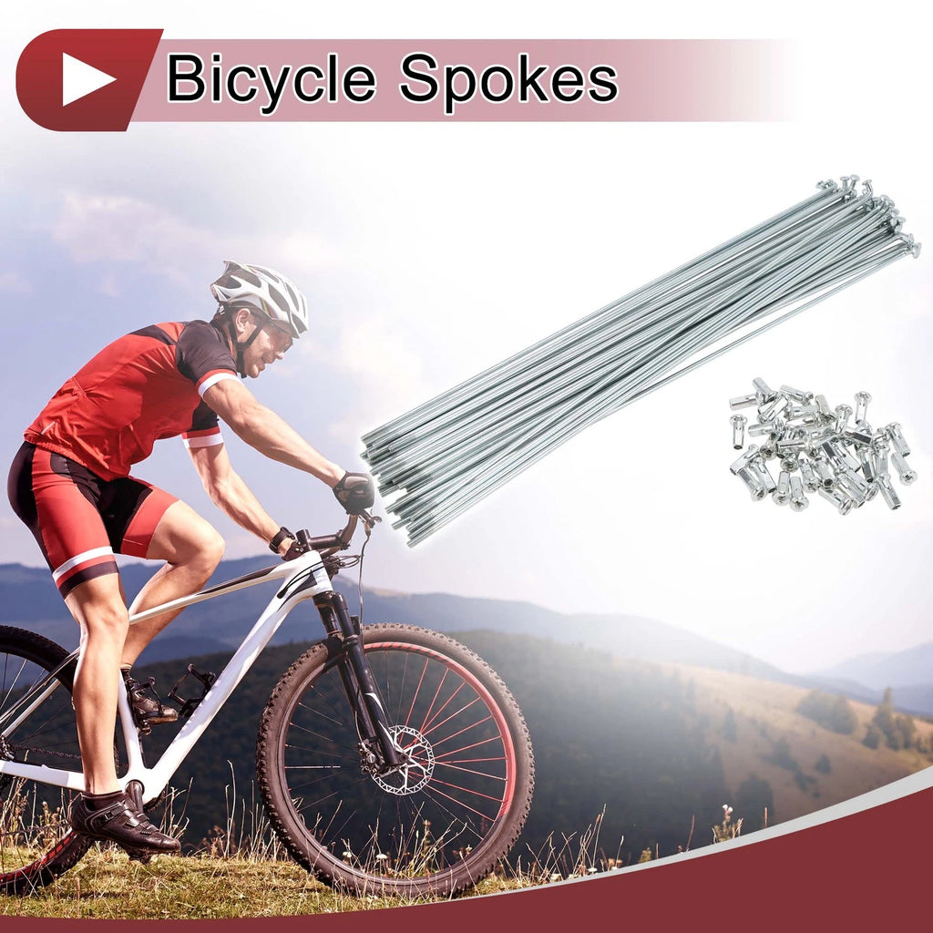 12G Bicycle Spokes 249mm Galvanized Steel Set for Bikes (2000–2024)