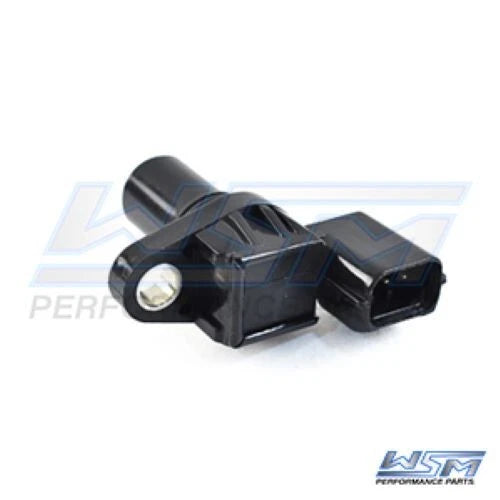 WSM Sensor for