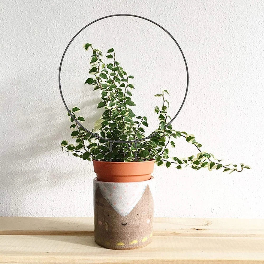 Heart-Shaped Plant Trellis Support Frame for Climbing Vines