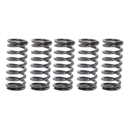 Clutch Kit with Heavy Duty Springs for Yamaha Blaster YFS200 (1988–2006)