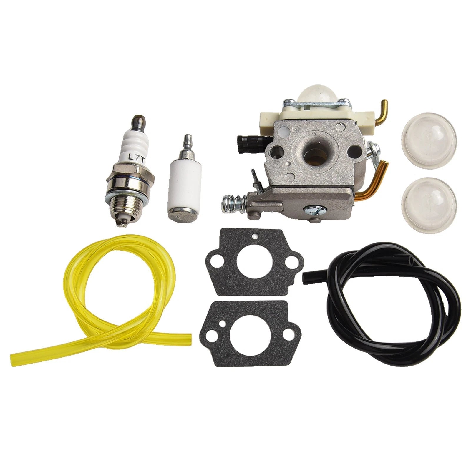 Carburetor Kit for Practical Accessories (Hot)
