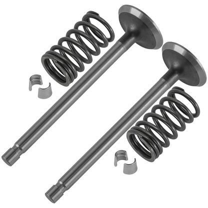 Intake & Exhaust Valve Kit Replacement for Kohler K-Series (2000–2006)