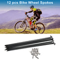 Bicycle Spokes Nipple Set 304 Stainless Steel 14G 165mm Universal