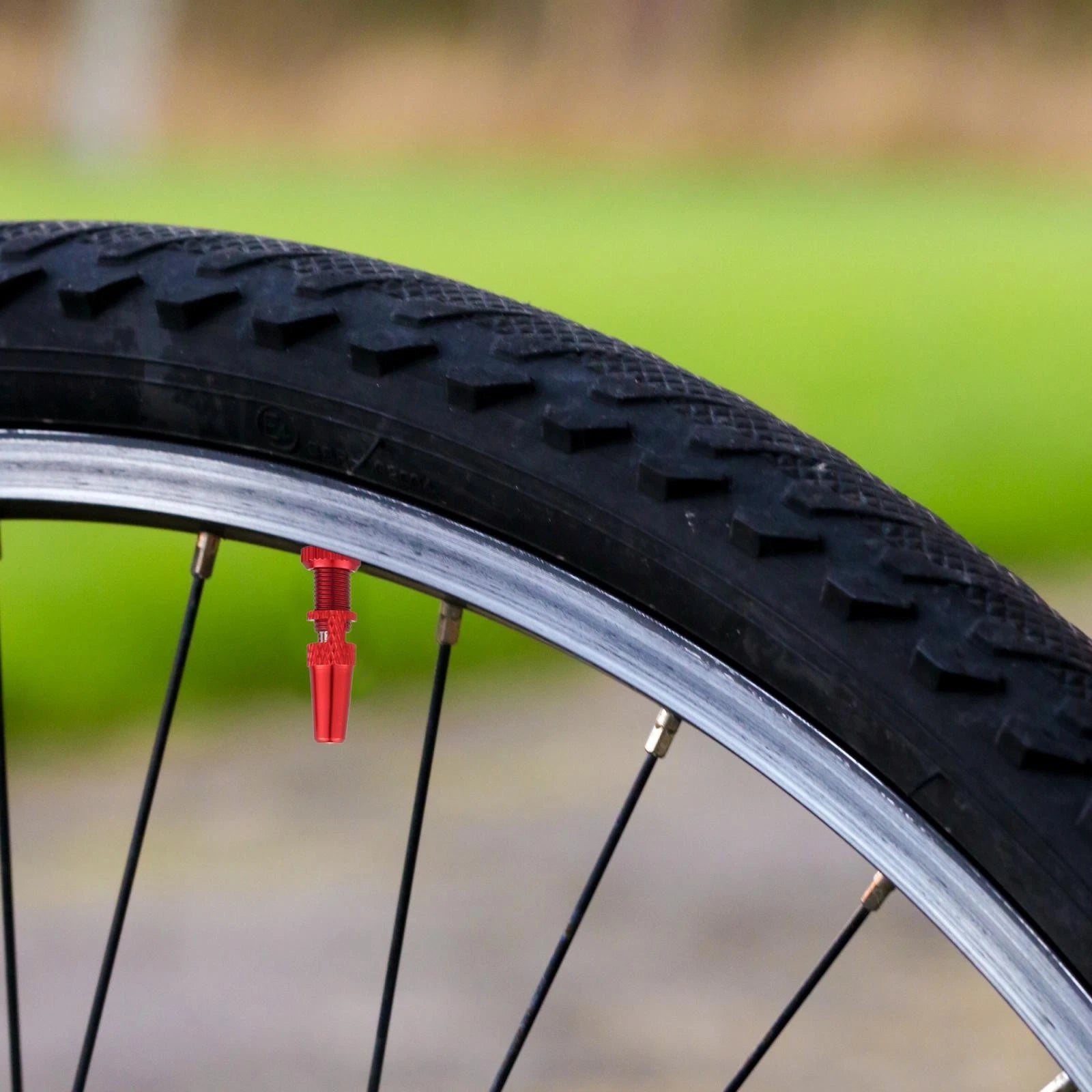 Tubeless Valve Stem Kit 44mm with Core Remover Tools for Bike (Red)