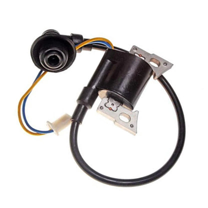Ignition Coil Module for