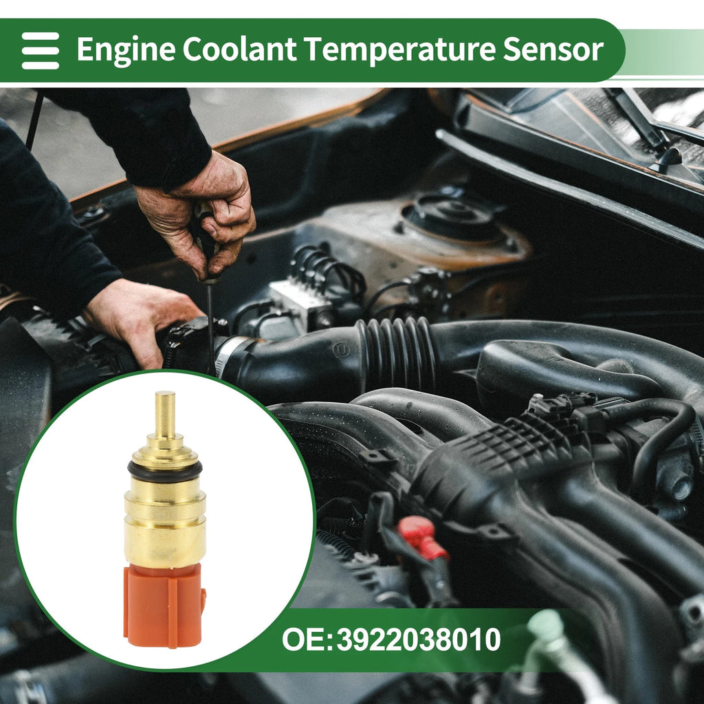Engine Coolant Temperature Sensor Replacement for Hyundai Palisade (2024–2024)