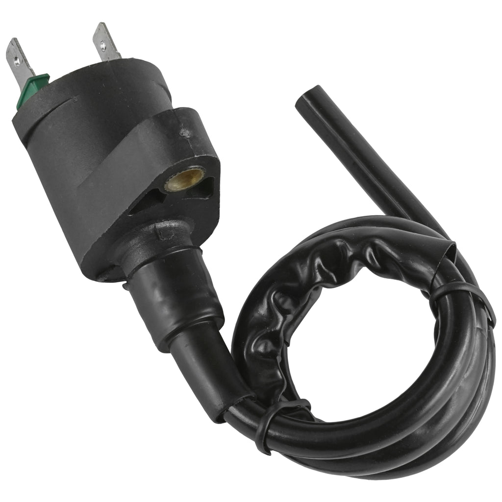Ignition Coil Replacement for Honda TRX300EX TRX300X Sportrax (2007–2009)