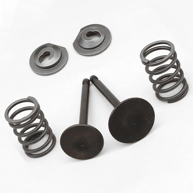 Spring Retainer Kit for 5 5 6 5HP Engines