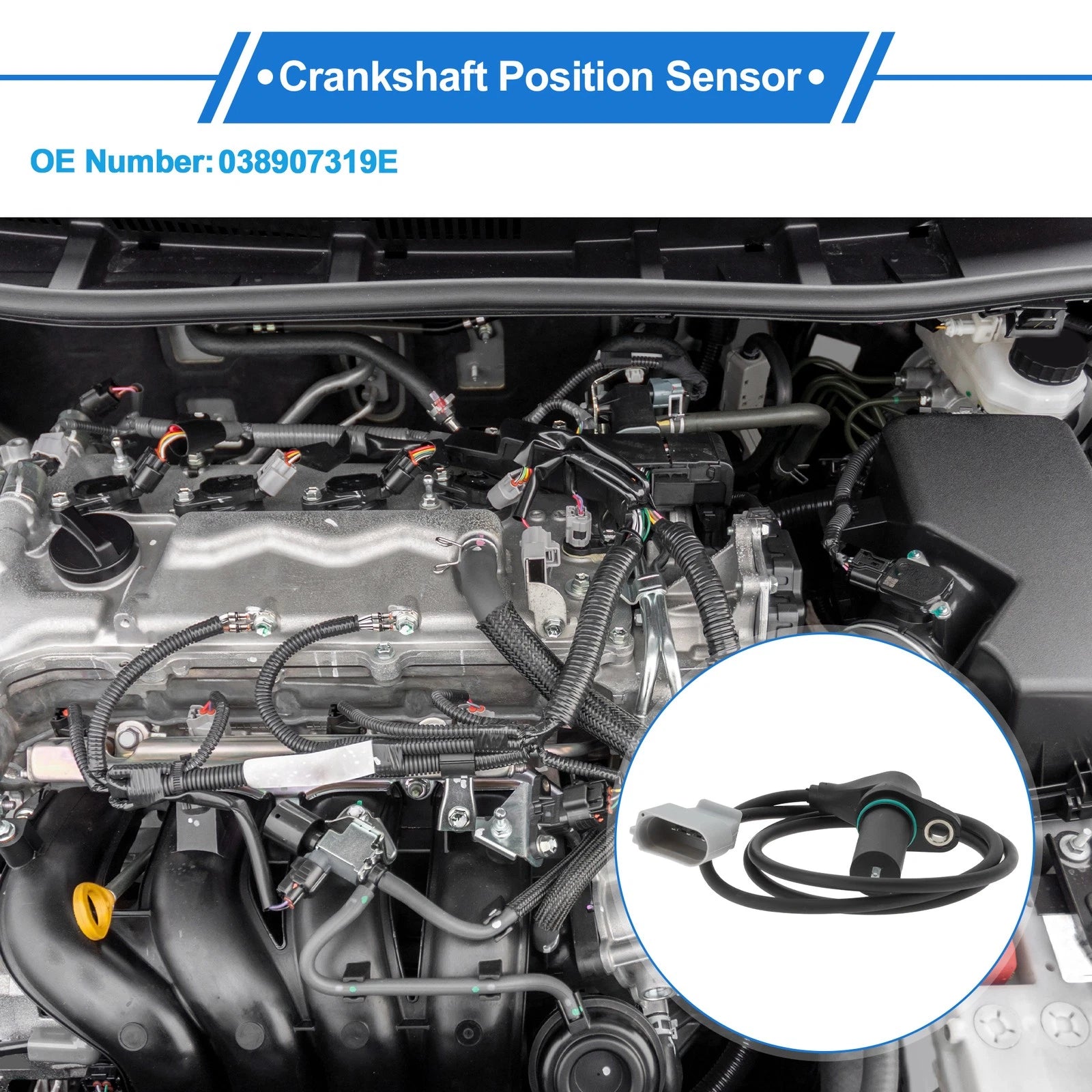 Crankshaft Position Sensor Replacement for Audi A4 B7 2.0TDI (2004–2008)