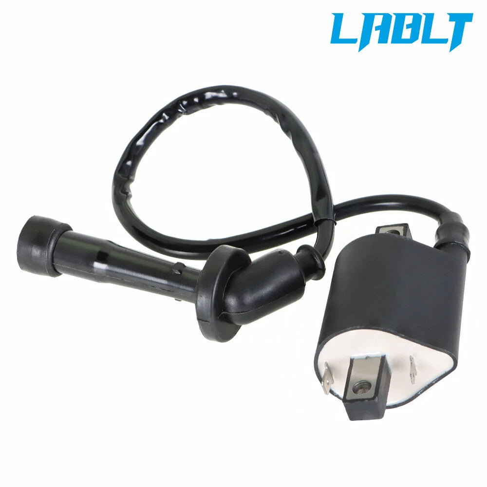 2X Ignition Coil Spark Plug for Yamaha V Star 650 (2002–2010)