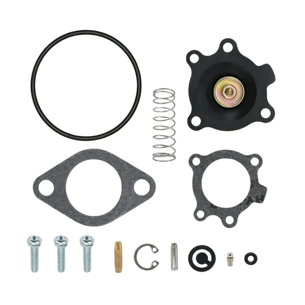 Carburetor Repair Kit for