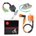 Ignition Coil Wiring Harness for Yamaha Blaster 200 YFS200 (1997–2001)