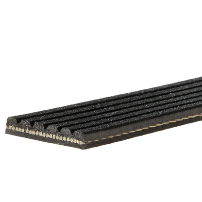 6 Rib Multi V Drive Belt for Audi A6 C6 C7 C8 2.7D 3.0D (2004–On)