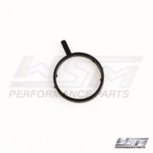 WSM Camshaft Housing O-Ring for Sea-Doo/Can-Am 500-1000 (2014–2026)