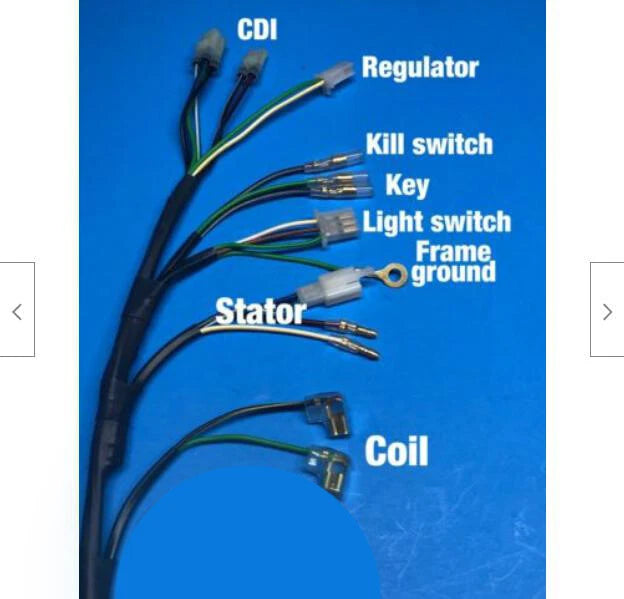 Wiring Harness for Honda TRX250R (1987–1988)