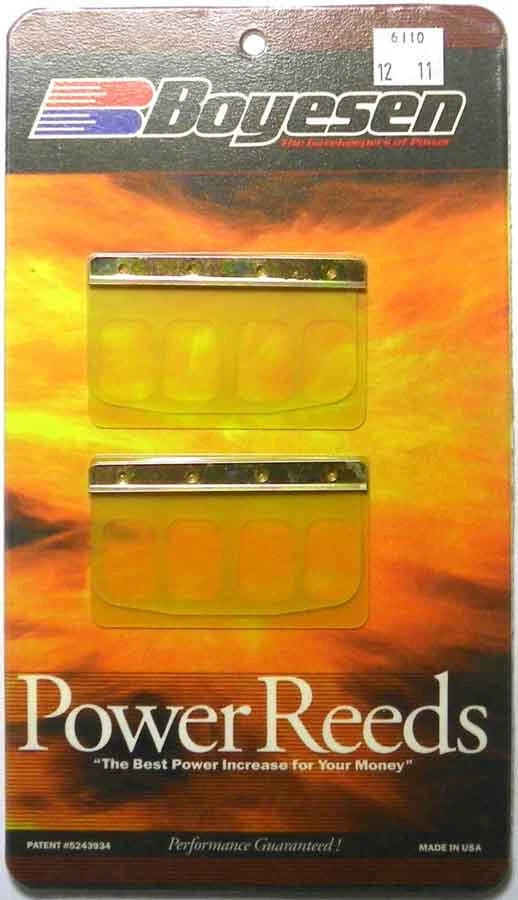 Boyesen Reeds for WSM (2010–2023)