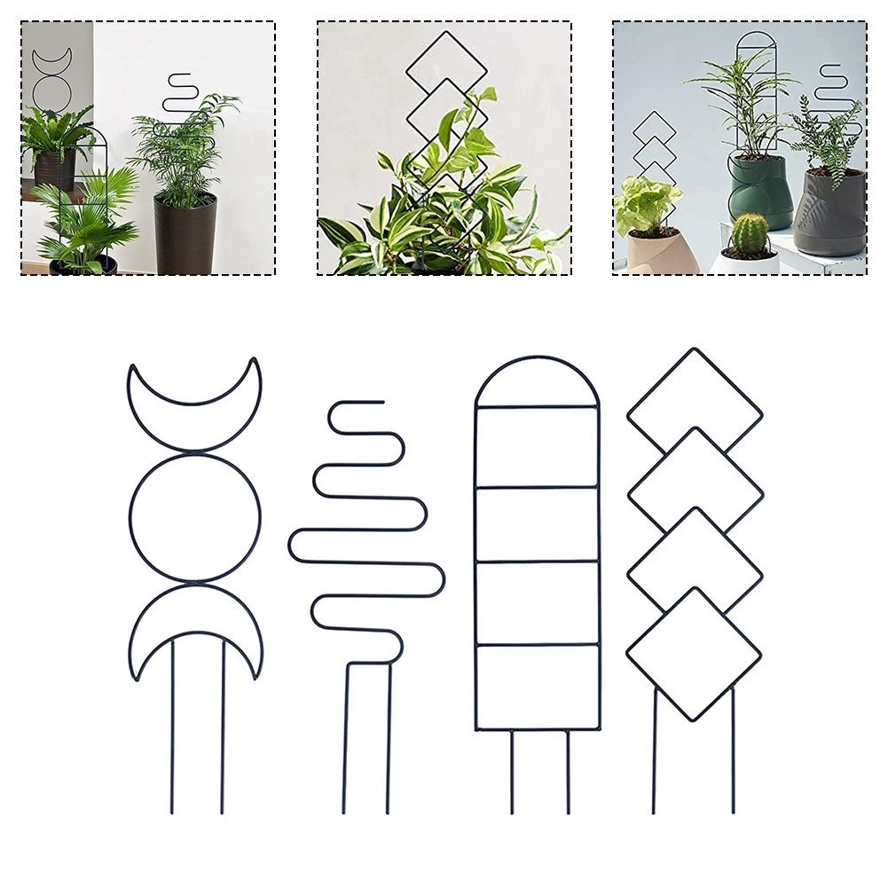 Mini Trellises for Indoor Vines