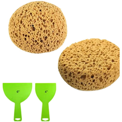Natural Sea Sponge Multipack for Bath or Shower