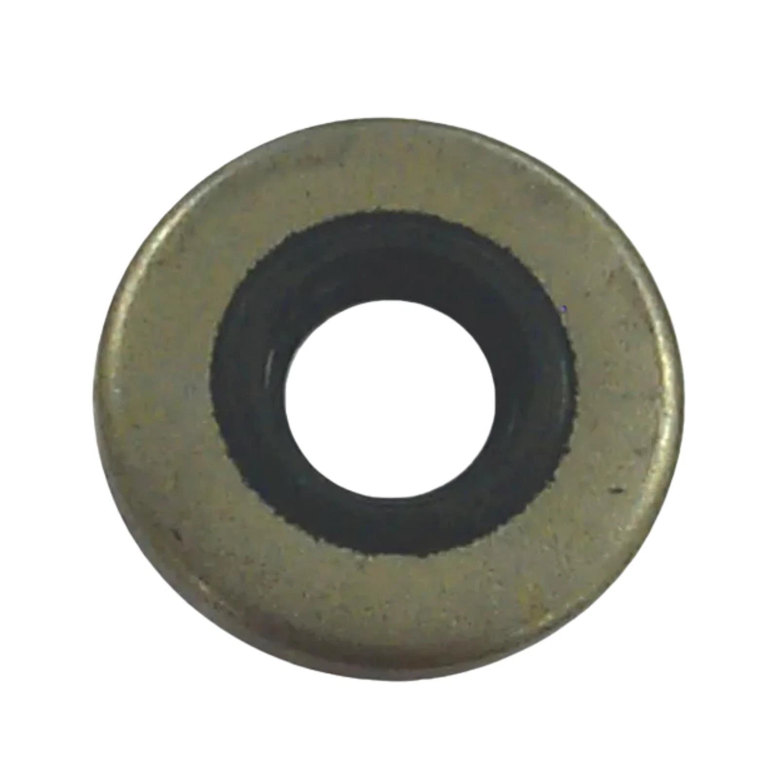 Marine Oil Seal for Sierra Johnson/Evinrude 318973 321480 (2018–2028)