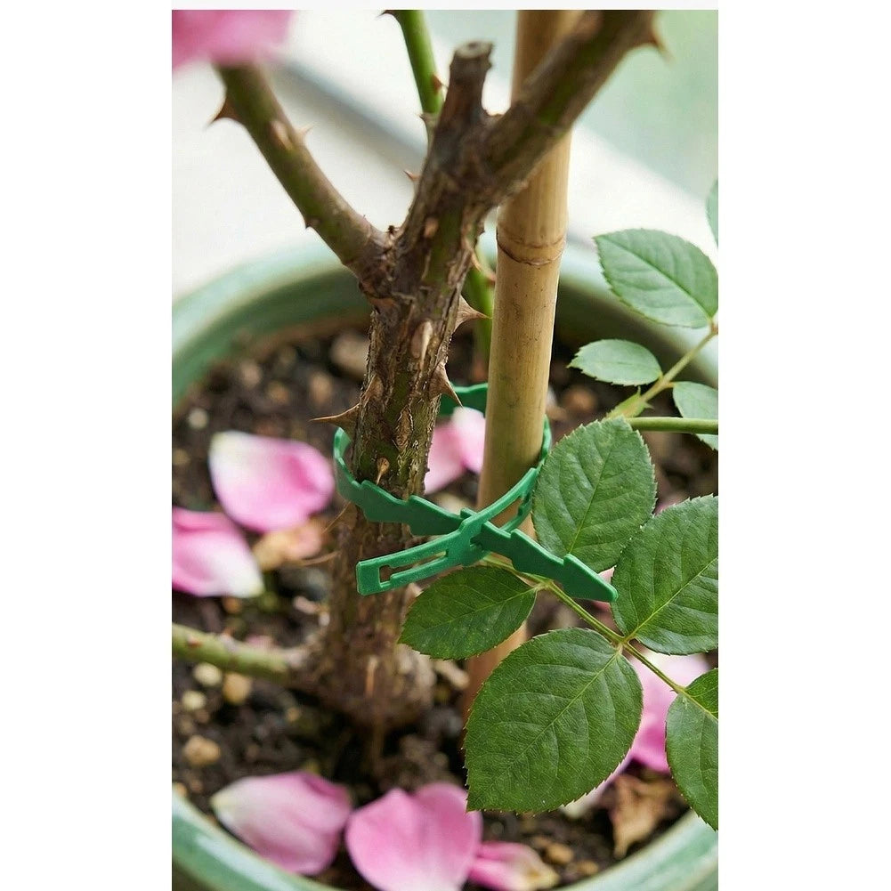 100pcs Adjustable Green Plant Ties for Vines Flowers
