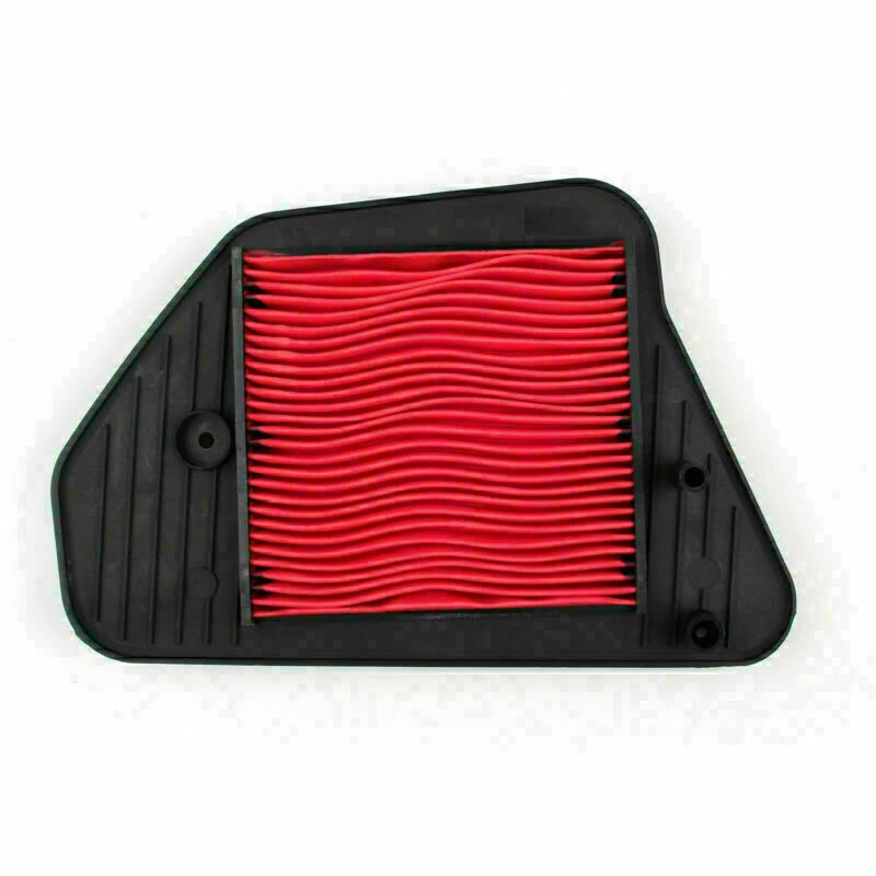 OEM Air Filter for Honda Freeway 250 CH250 (T9)
