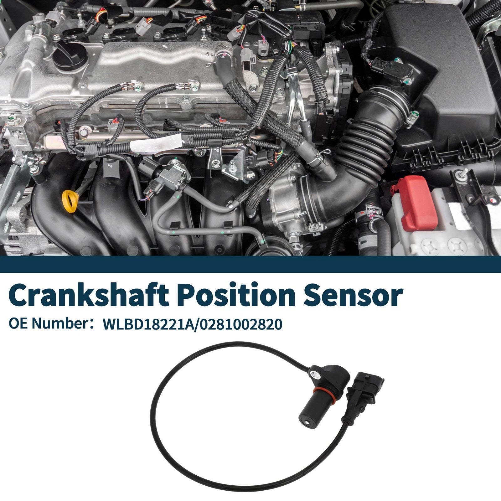 Crankshaft Position Sensor for Mazda BT-50 2.5MRZ-CD (2006–2013)