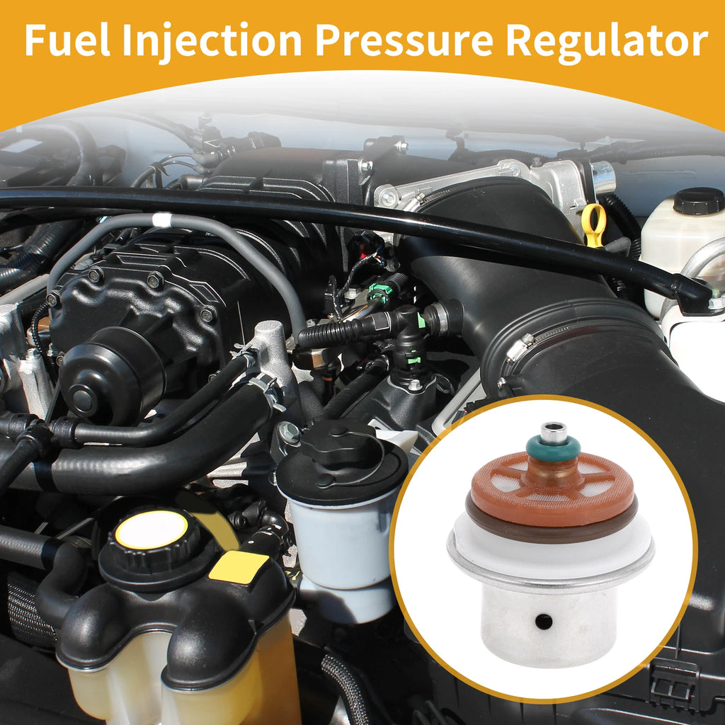 Fuel Pressure Regulator for Harley Davidson (2008–2017) 1 Pc
